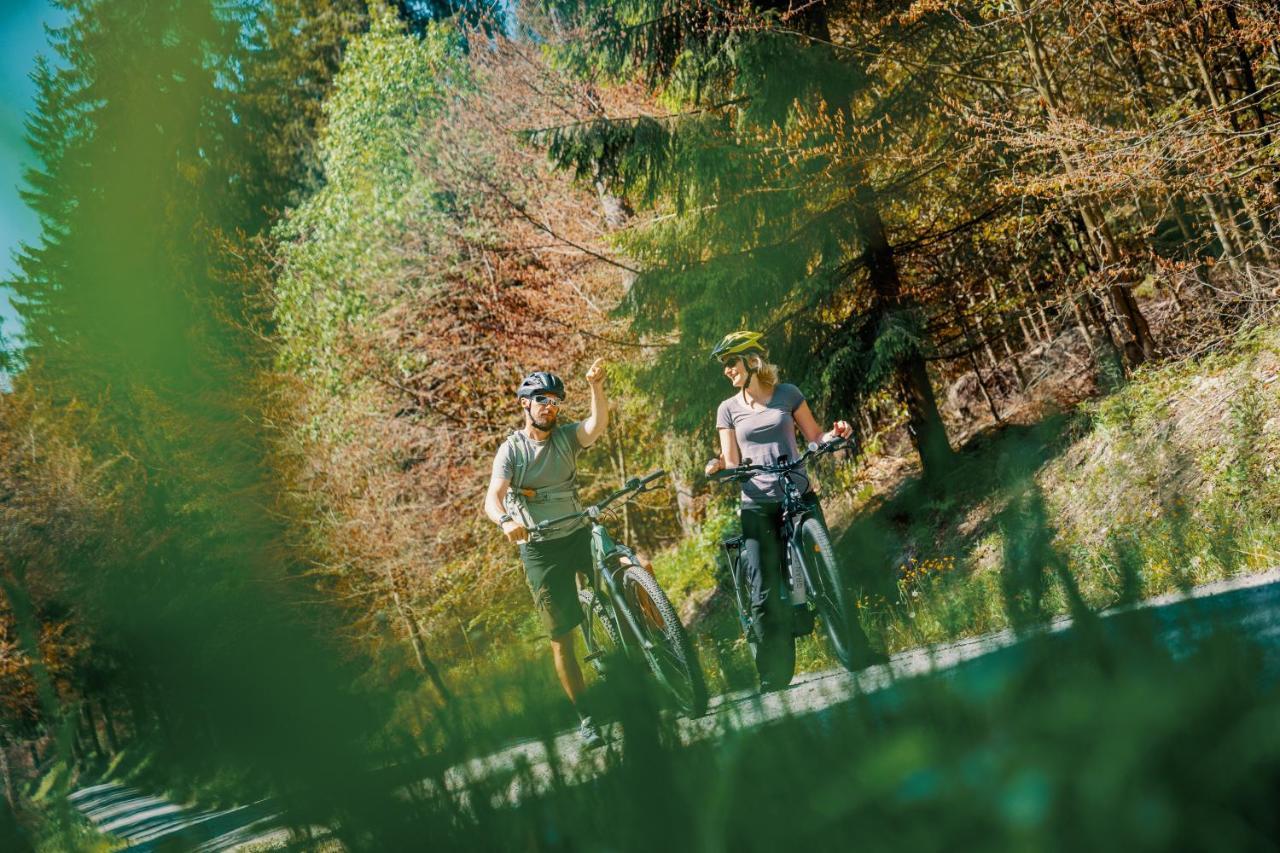 Waldhotel Vogtland Klingenthal Luaran gambar